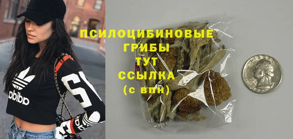 синтетический гашиш Богородицк