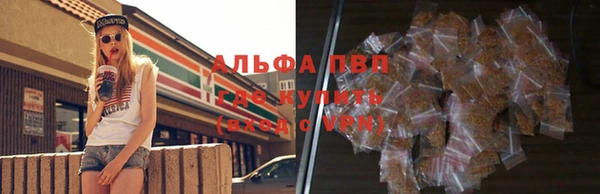 амф Богданович